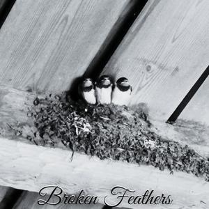 Broken Feathers