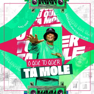 O QUE TU QUER TÁ MOLE (Explicit)