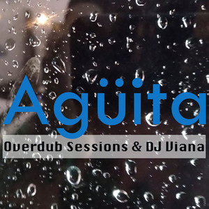 OVERDUB SESSIONS + DJ VIANA - ANOCHE