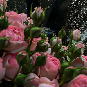 曾经誓言已结冰