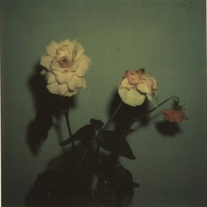 Fractured (Explicit)