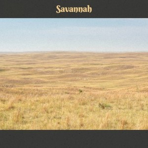 Savannah