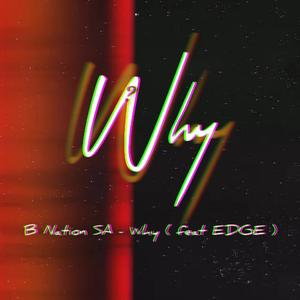 Why (feat. EDGE) (Explicit)