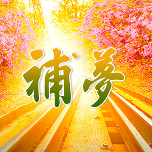 Catching Dreams (補夢 甲子慧演唱版)