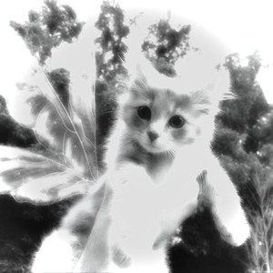 Demon (Slow & Reverb)