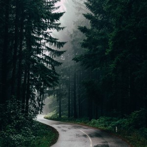 Soft Rain & Wind