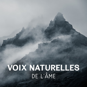 Voix naturelles de l'âme – Meilleur musique de relaxation, Son d'oiseaux, Océan et forêt pour de-stress