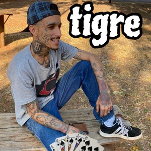 Tigre