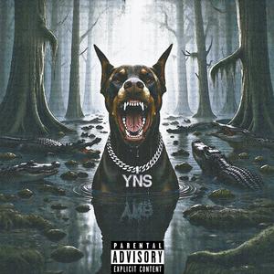 SBBGFTE (feat. G8a3y & YNS RDA) (Explicit)