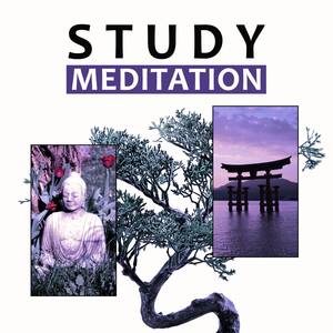 Study Meditation – Brain Stimulation, Background Music for Meditation, Relaxing Music, Meditation Mu