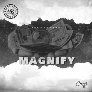 Magnify Inst