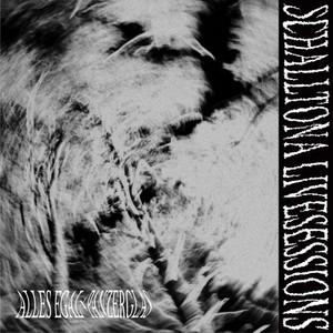 Panzerglas (Schalltona Livesession|Live)