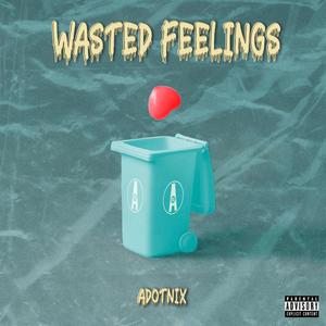 Wasted Feelings (Explicit)