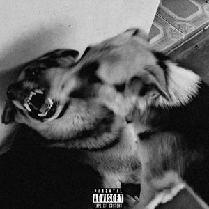 CIRCLE (feat. Jeff Nyimbo, Kushizzo & Mr. Show Dem|Explicit)