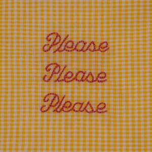 Please Please Please (Explicit)