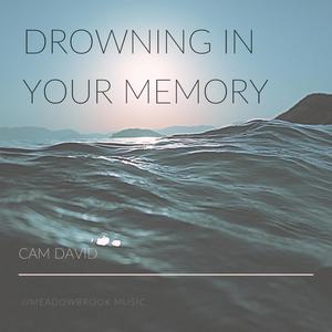 Drowning In Your Memory