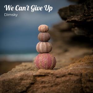 We Can't Give Up