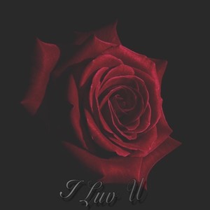 I Luv U