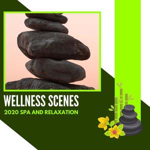 Wellness Scenes - 2020 Spa And Relaxation