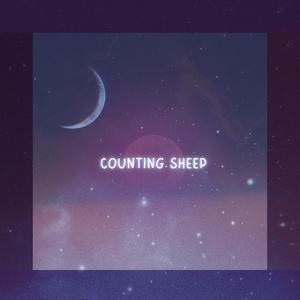 counting sheep