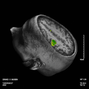 Cirúrgico (Explicit)