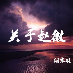 关于赵微