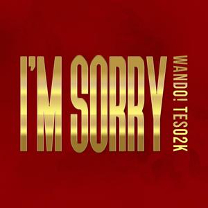 I'M SORRY (feat. TESO2K) (Explicit)