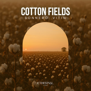 Cotton Fields
