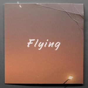 Flying