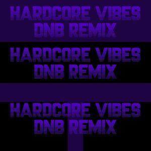 HARDCORE VIBES DNB MOFSBEATS REMIX (Remix)
