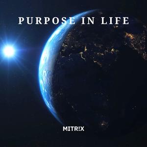 Purpose in Life