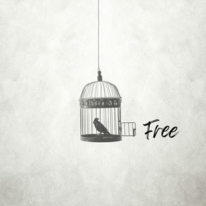 Free (Live)