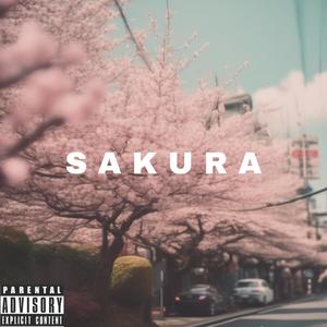 S A K U R A (Explicit)