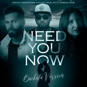 Need You Now (Bachata Version)