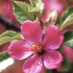 I want you (feat. Beckie)