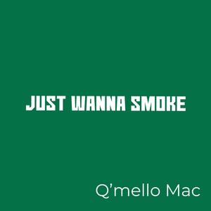 Just Wanna Smoke (Explicit)