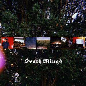 Death Wings (Explicit)