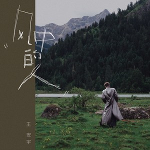 风中的人-王安宇