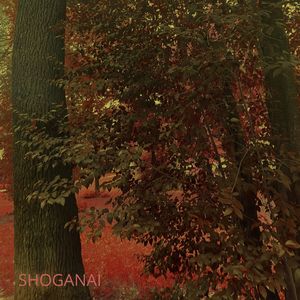 Shoganai