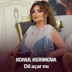 Dil Açar mı
