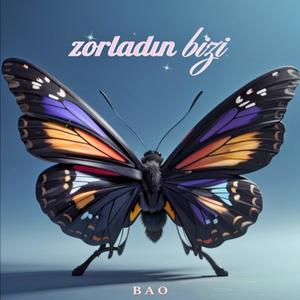 Zorladın Bizi (Explicit)