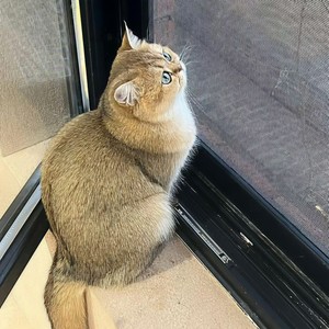 不再执着于我们的分别