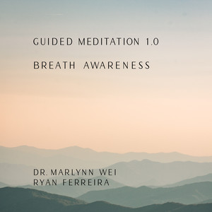 Guided Meditation 1.0 Breath Awareness