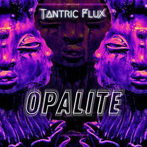 Embrace the Dark Side-Tantric Flux