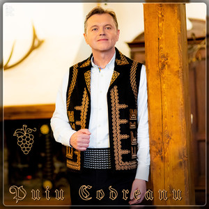 Vinișor De Viță Aleasă (Azi Petrec Și Uit De Toate)