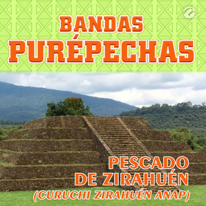 Pescado de Zirahuén(Curuchi Zirahuén Anap)