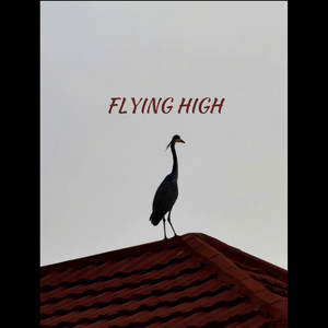 Flying High (Explicit)