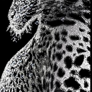 Swarovski (feat. eavy) (Explicit)