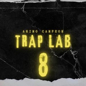 Trap Lab 8