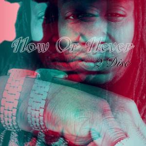 Now Or Never (Never LP)